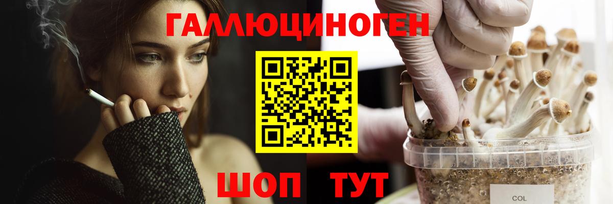 Севастополь  Галлюциногенные грибы мухоморы  Галлюциногенные грибы ЛСД  Вход с VPN 